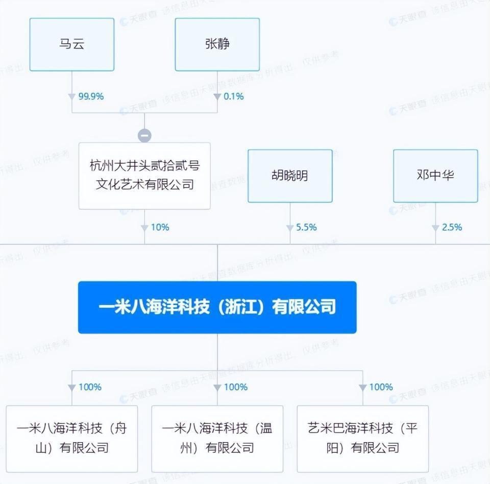 马云重出江湖