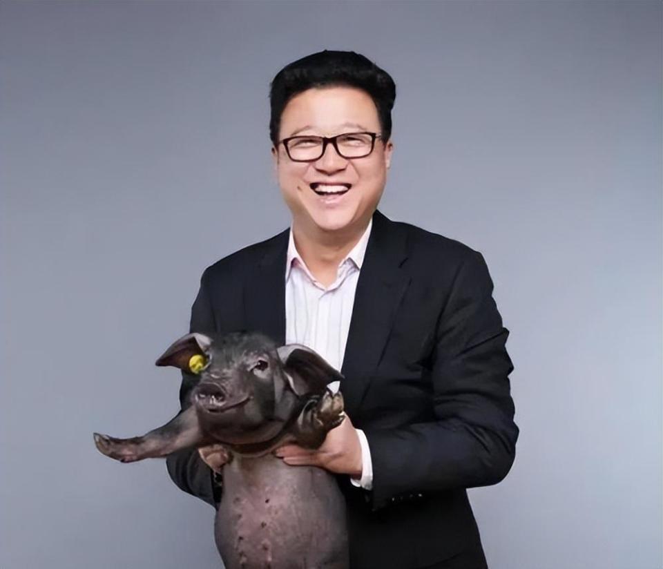 马云重出江湖