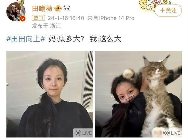 是内娱真性情？还是永远年轻永远骂人难听？