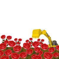 是内娱真性情？还是永远年轻永远骂人难听？