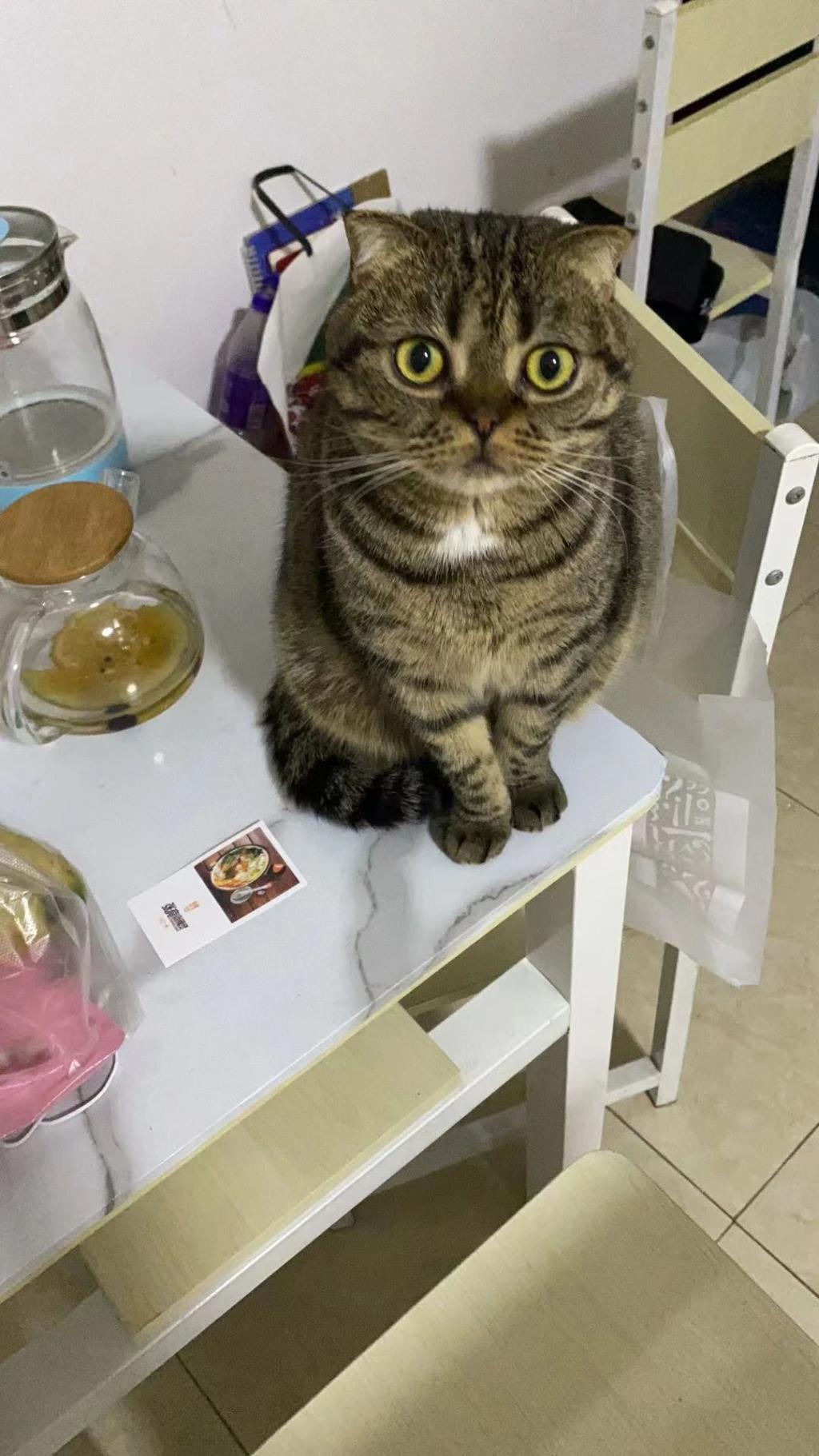 面试了70家公司，我才放下大厂人的面子