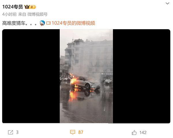 零跑C11电动车马路上自燃：整车被大火吞没
