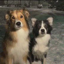 一语惊人，给人CPU都干烧了！