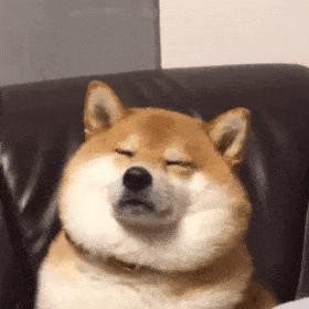 一语惊人，给人CPU都干烧了！