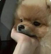 不是吧！他俩居然分手了？