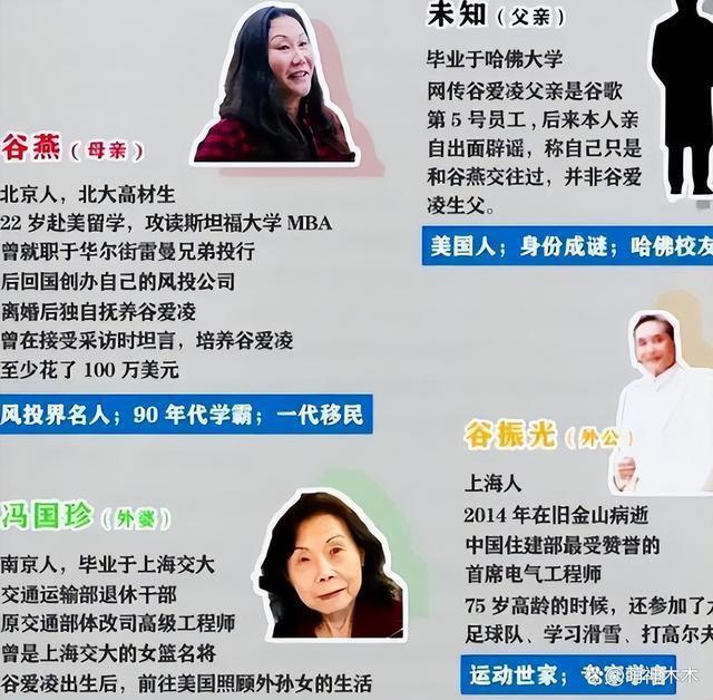 谷爱凌任青奥会大使宣传韩国文化，被网友调侃是墙头草