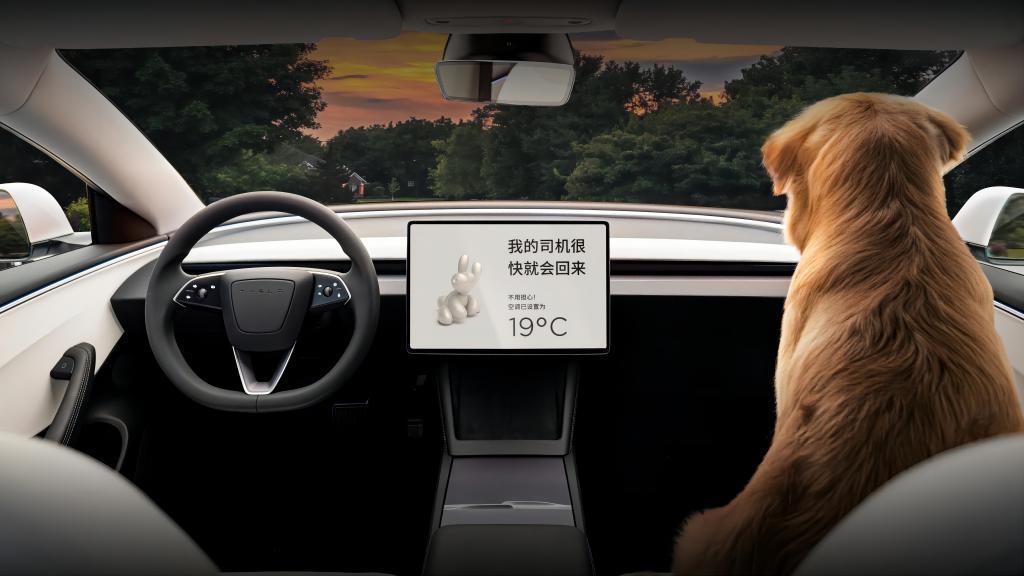 勉强达成年度目标的特斯拉，2024年会失去纯电车销冠吗？