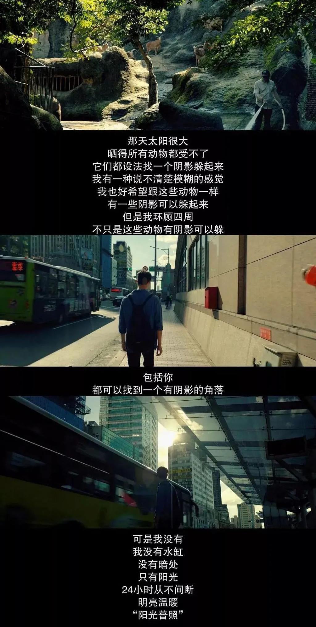 如果狗血是你的人生