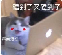 震惊!!他俩居然在一起了?!