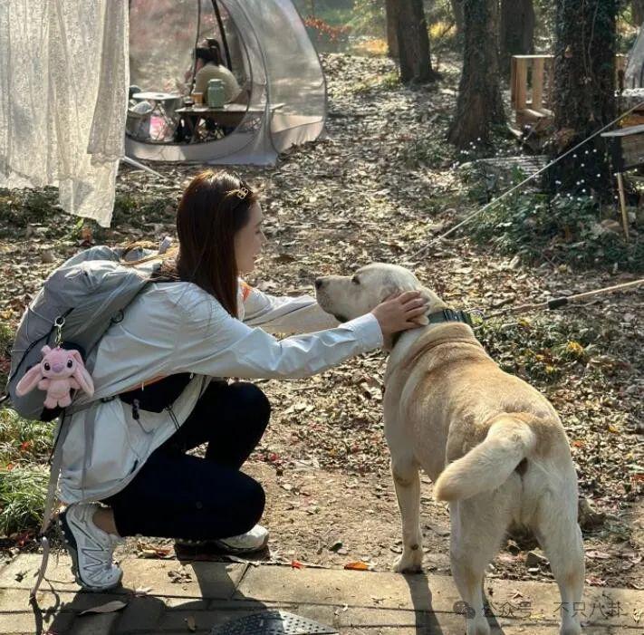 他也是时间管理大师啊！脚踏N条船，这次又惹到了大网红？