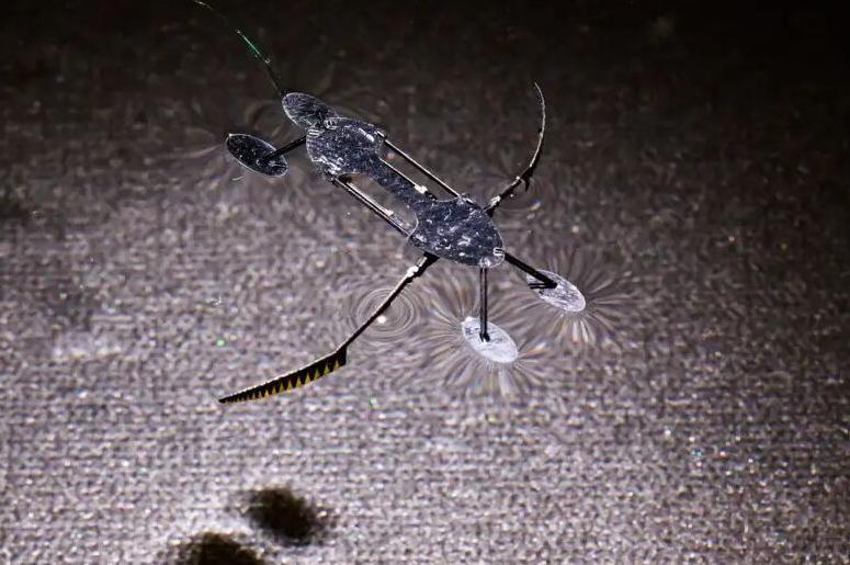科学家制成迄今最轻快全功能机器人：以昆虫为模型，轻至 8 毫克