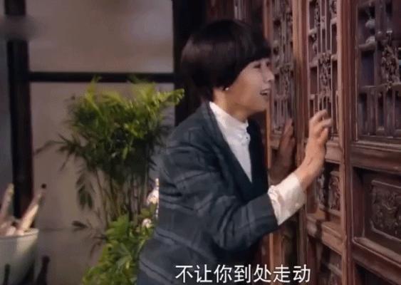 85花不会等待宋茜