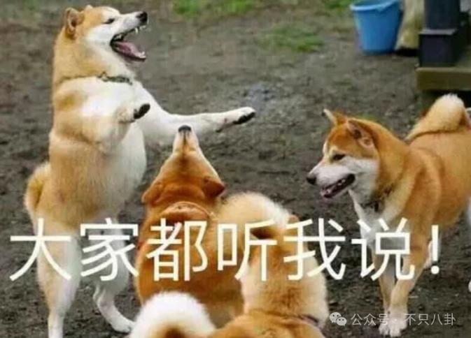 虽然认识十多年了，但他俩恋爱还是有点让人震惊呢！