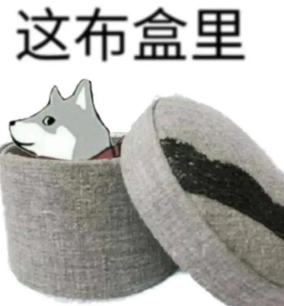 马斯克快把太空抢完了，我们自己的商业火箭咋样了？