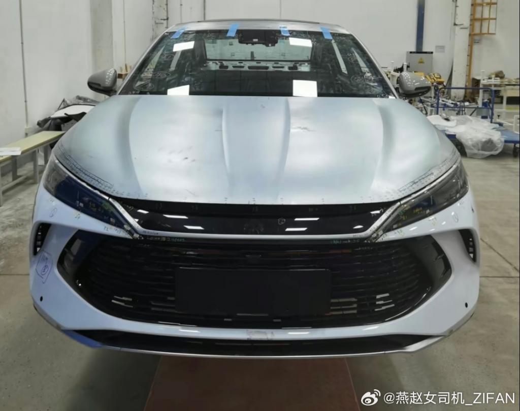 海洋网年轻化战术进度缓慢，比亚迪「L」入场相助