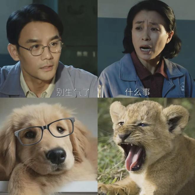 大江大河3：唯一敢白眼王凯的演员，全程丧着脸演戏，观众不敢怼