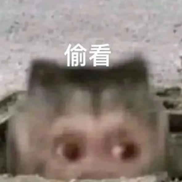 实锤！这次轮到小米「捅破天」了