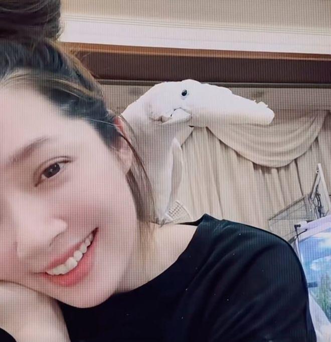 郭碧婷罕见晒动态！素颜出镜珠圆玉润，鹦鹉与她贴贴