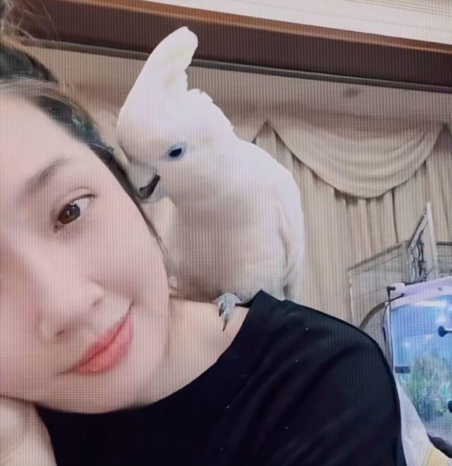 郭碧婷罕见晒动态！素颜出镜珠圆玉润，鹦鹉与她贴贴