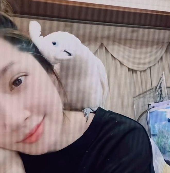 郭碧婷罕见晒动态！素颜出镜珠圆玉润，鹦鹉与她贴贴