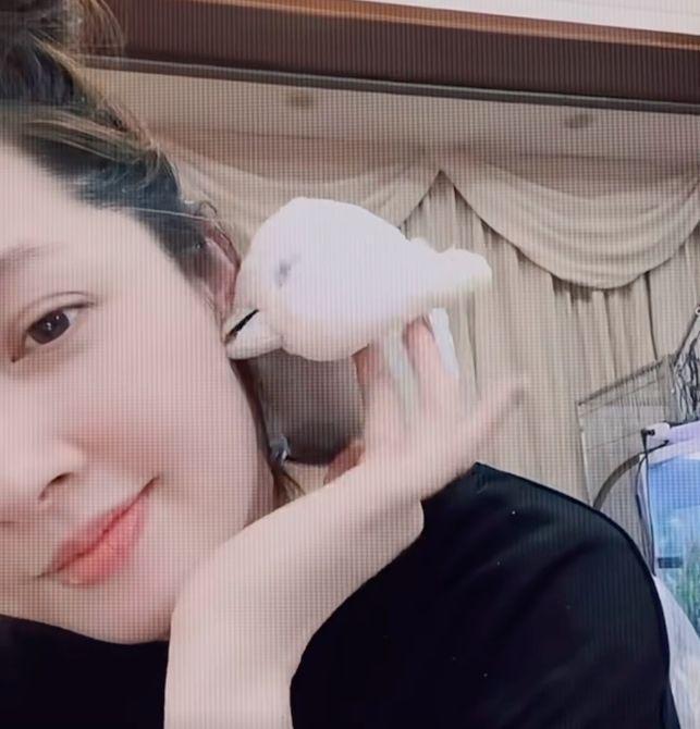 郭碧婷罕见晒动态！素颜出镜珠圆玉润，鹦鹉与她贴贴