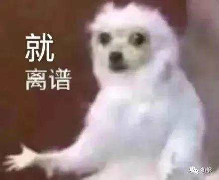 嫁富豪、做律师、成糊糊……那些年的香港小姐现今如何？