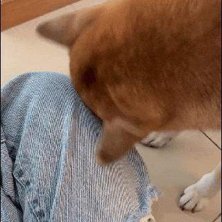 根本藏不住，他说话都盯着她的嘴唇看诶