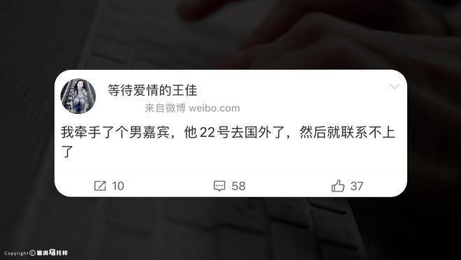 靠相亲综艺走红，深陷明星梦无法自拔，丈夫终成刀下亡魂