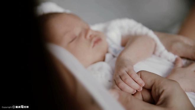 靠相亲综艺走红，深陷明星梦无法自拔，丈夫终成刀下亡魂