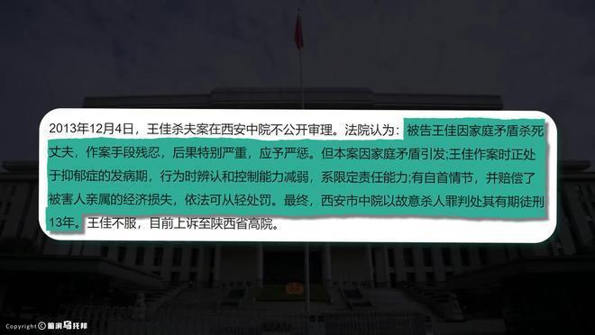 靠相亲综艺走红，深陷明星梦无法自拔，丈夫终成刀下亡魂