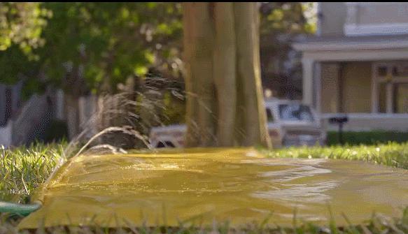 笑到打鸣的喜剧，千万别和家人一起看