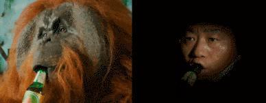 包贝尔新片，烂到没边！太脑残了…