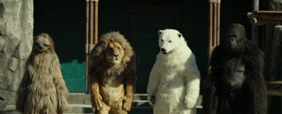 包贝尔新片，烂到没边！太脑残了…