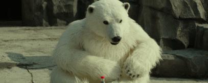 包贝尔新片，烂到没边！太脑残了…