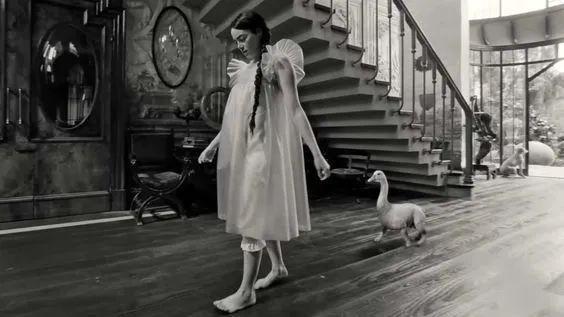 石头姐，这回又“疯”了