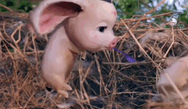 下架吧，毁了！