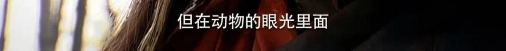 难评！花3个亿拍了个der