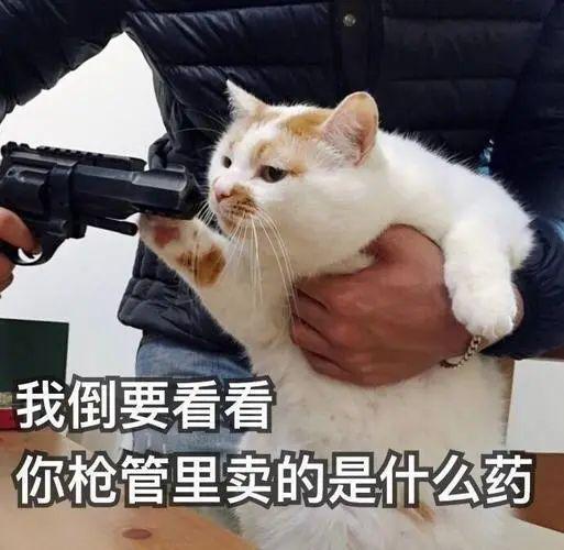 闲鱼上的这种特殊服务，真的有点过分啊