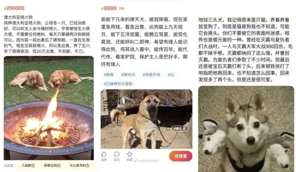 闲鱼上的这种特殊服务，真的有点过分啊
