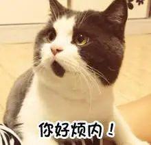 今天，iPhone终于修复了这个脑残Bug