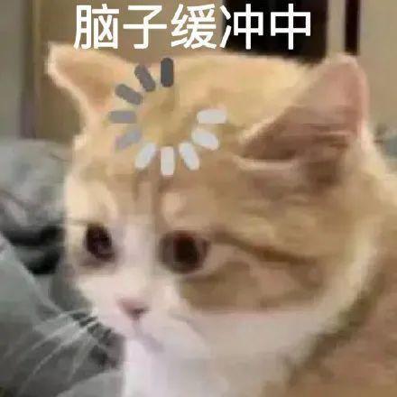 今天，iPhone终于修复了这个脑残Bug