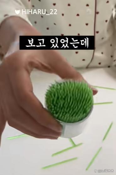 韩网流行吃油炸淀粉牙签获明星推荐，本是环保材质用来喂猪