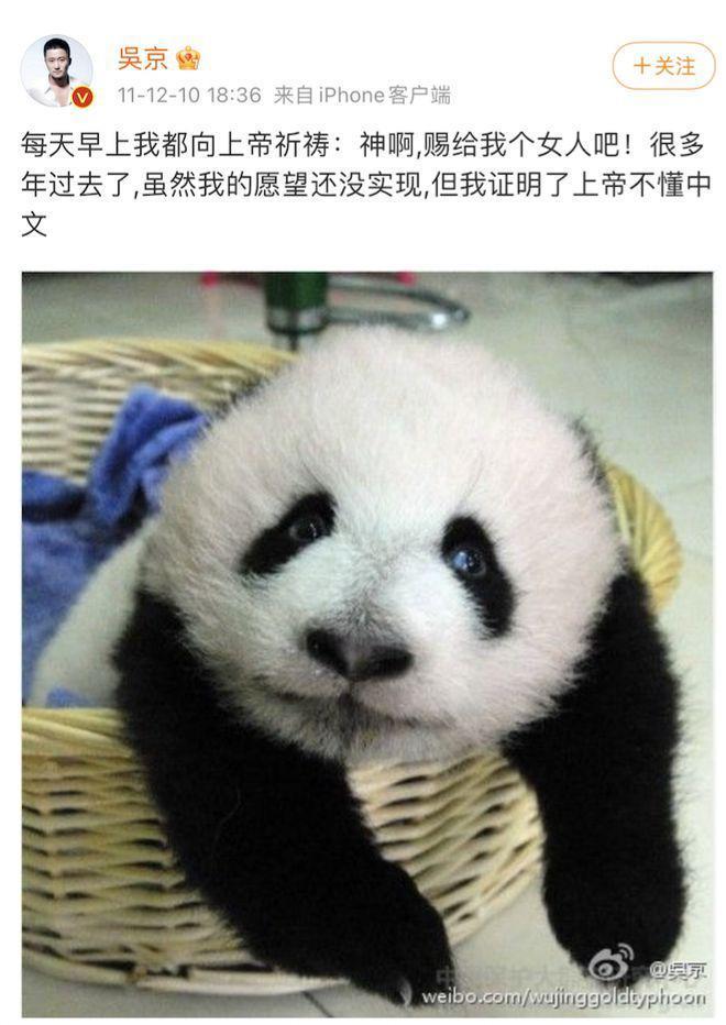 吴京谢楠：“大丈夫主义”婚姻到底意味着什么？