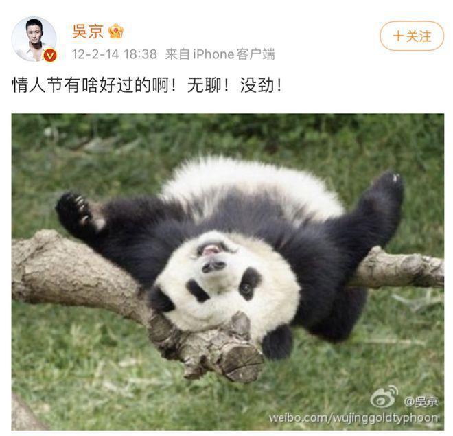 吴京谢楠：“大丈夫主义”婚姻到底意味着什么？