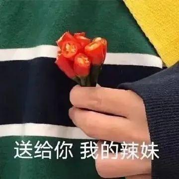 卧槽，这么敢说不想混了？！