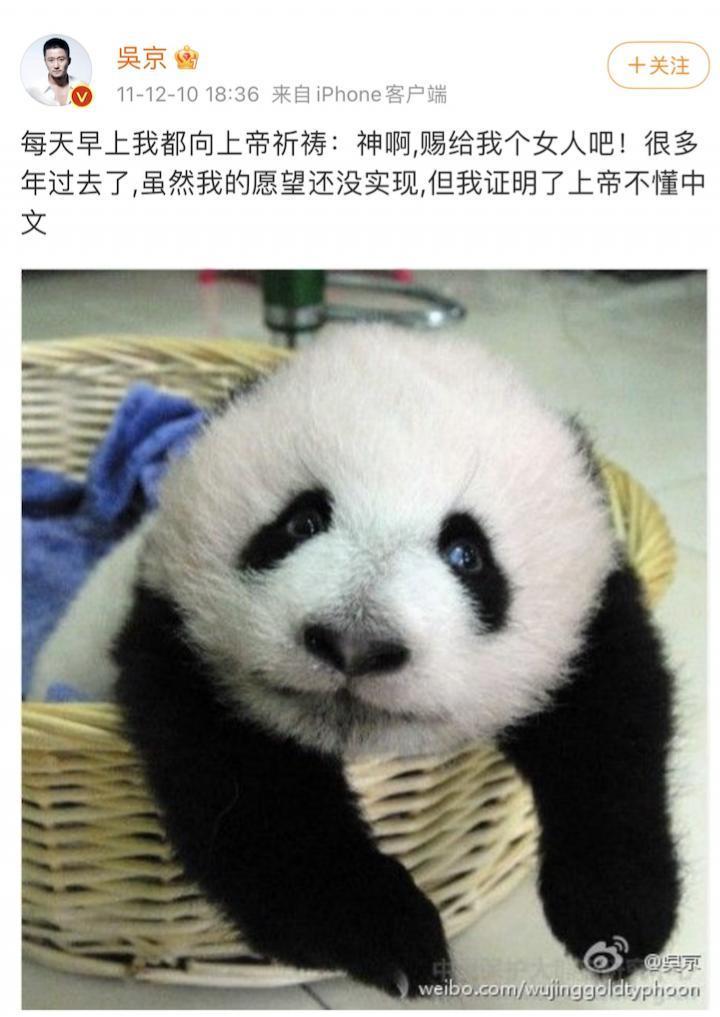 吴京谢楠：“大丈夫主义”婚姻到底意味着什么？