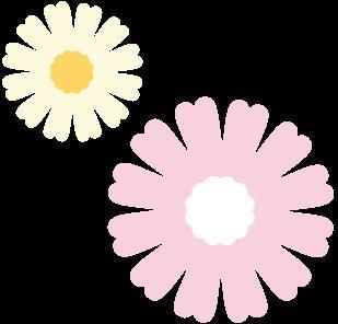 嗑不动，“爷青回”滤镜真碎了？