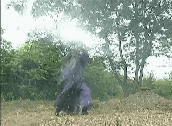 求求了，放过观众吧！
