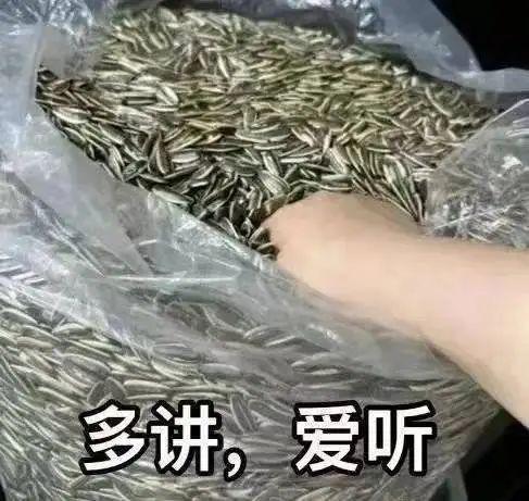 东方甄选、小杨哥扎堆出海，这是要狠赚老外的钱？