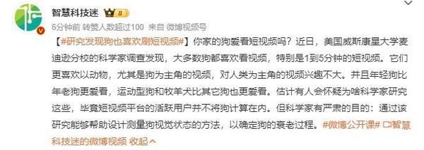 科学家发现狗子也喜欢刷短视频 尤其是狗当主角的视频